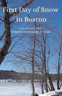 Bokomslag för "First Day of Snow in Boston"