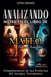 Bokomslag for "Analizando Notas en el Libro de Mateo"