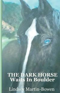 The Dark Horse Waits in Boulder