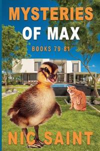 Mysteries of Max