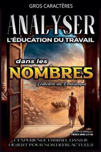 Kirjan kansi "Analyse de l'Enseignement du travail dans les Nombres"