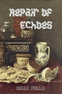 Repair of Echoes