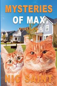 Mysteries of Max