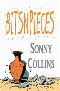 Bokomslag for "Bitsnpieces"