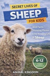 Secret Lives of Sheep for Kids