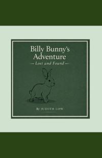 Billy Bunny's Adventure Lost and Found