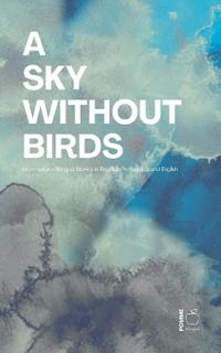 A Sky Without Birds