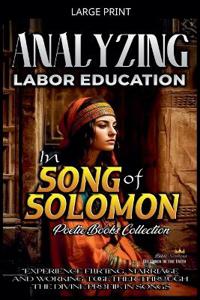 Bokomslag for "Analyzing Labor Education in Song of Solomon"