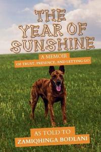 The Year of Sunshine