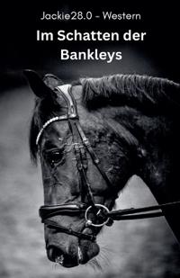 Im Schatten der Bankleys