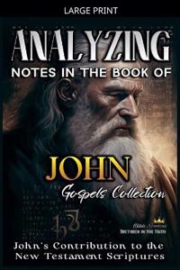 Bokomslag för "Analyzing Notes in the Book of John"