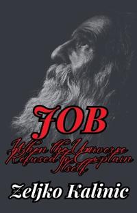 Job - When the Universe Refused to Explain Itself
