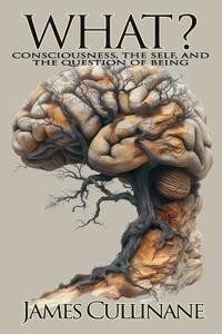 What? Consciousness, the Self, and the Question of Being