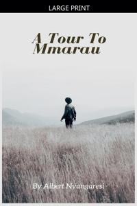 Bokomslag för "A Tour To Mmarau"