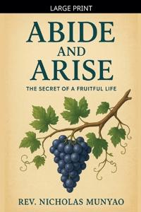 Bokomslag for "Abide and Arise"