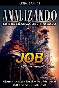 Analizando la Enseñanza del Trabajo en Job