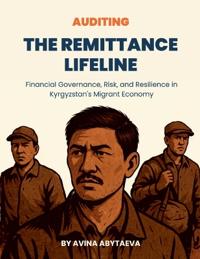 Auditing The Remittance Lifeline