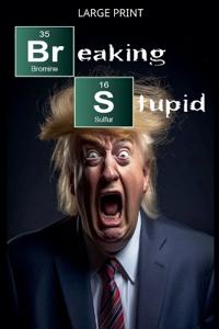 Bokomslag for "Breaking Stupid"