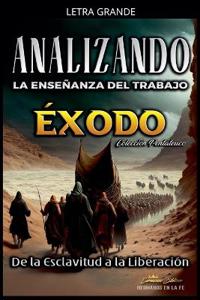 Analizando la Enseñanza del Trabajo en Éxodo