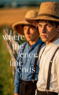 Where The Fence Line Ends