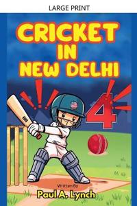 Cricket In New Delhi