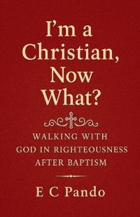 I'm A Christian, Now What?