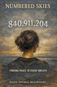 Bokomslag för "Numbered Skies"