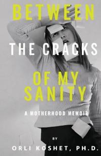 Between the Cracks of My Sanity