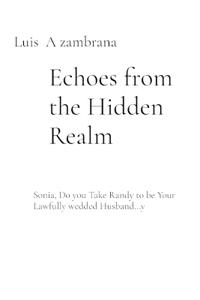 Echoes from the Hidden Realm