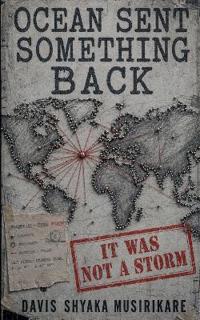 Bokomslag för "Ocean Sent Something Back"