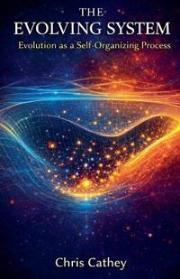 The Evolving System