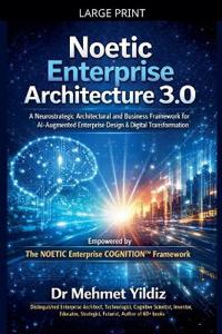 Noetic Enterprise Architecture 3.0
