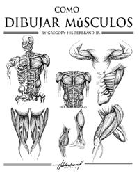 Cómo Dibujar Músculos