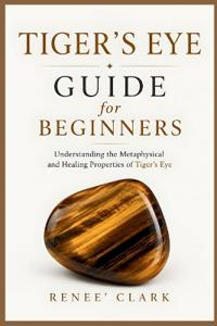 Tiger's Eye Guide for Beginners