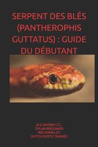 Serpent Des Blés (Pantherophis Guttatus)