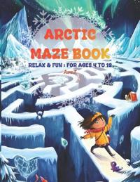 Arctic Maze Book