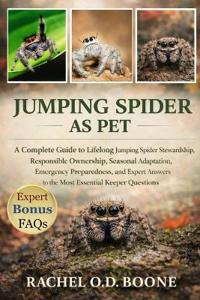 Jumping Spider as Pet