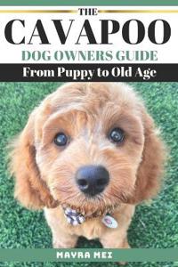 The Cavapoo Dog Owners Guide from Puppy to Old Age
