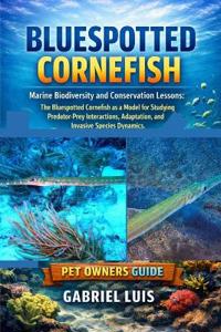 Bluespotted Cornefish