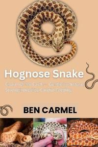 Hognose Snake