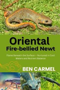 Oriental Fire-Bellied Newt