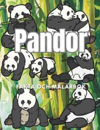 Pandor