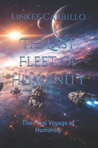 The Last Fleet of Humanity