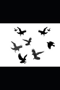 9 Crows