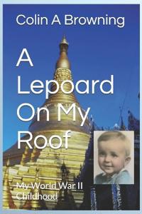 A Lepoard On My Roof
