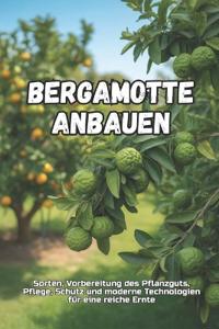 Bergamotte anbauen