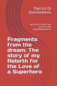 Fragments from the dream