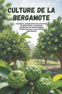 Culture de la bergamote