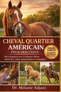 Cheval Quartier Américain Pour Débutants