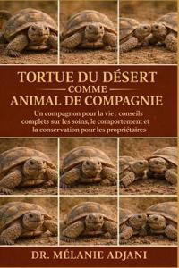 Tortue Du Désert Comme Animal de Compagnie